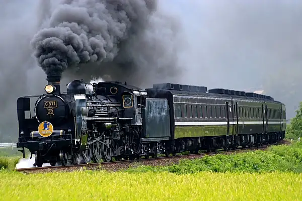 A black steam locomotive pulling passenger cars through green countryside